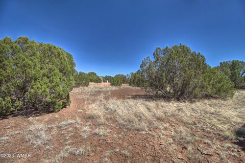 Tiny photo for 1916 Daggs Circle, Show Low, AZ 85901 (MLS # 249182)