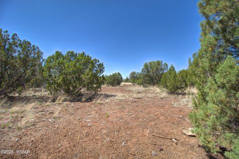 Tiny photo for 1916 Daggs Circle, Show Low, AZ 85901 (MLS # 249182)