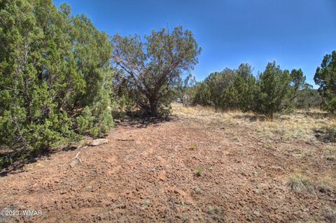 Tiny photo for 1916 Daggs Circle, Show Low, AZ 85901 (MLS # 249182)