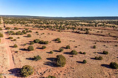 Tiny photo for 9645 Texas Lane, Show Low, AZ 85901 (MLS # 254402)