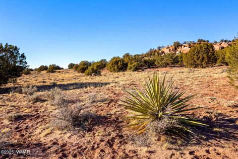 Tiny photo for 9645 Texas Lane, Show Low, AZ 85901 (MLS # 254402)