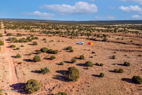 Tiny photo for 9645 Texas Lane, Show Low, AZ 85901 (MLS # 254402)