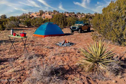 Tiny photo for 9645 Texas Lane, Show Low, AZ 85901 (MLS # 254402)