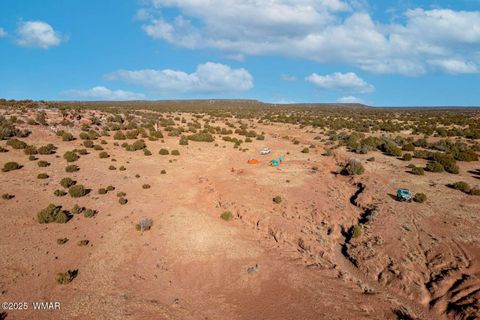 Tiny photo for 9645 Texas Lane, Show Low, AZ 85901 (MLS # 254402)
