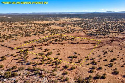 Tiny photo for 9645 Texas Lane, Show Low, AZ 85901 (MLS # 254402)