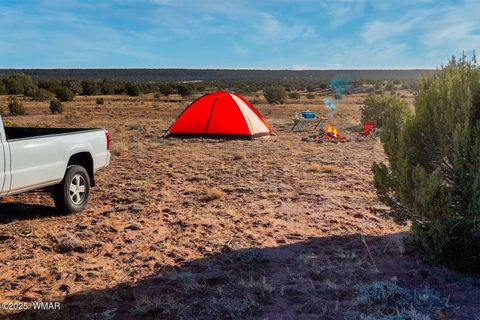 Tiny photo for 9645 Texas Lane, Show Low, AZ 85901 (MLS # 254402)
