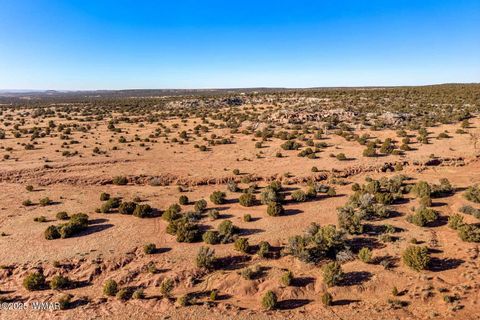 Tiny photo for 9645 Texas Lane, Show Low, AZ 85901 (MLS # 254402)