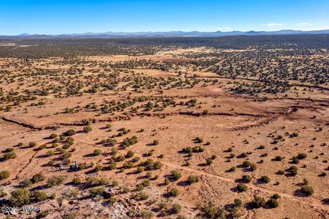 Tiny photo for 9645 Texas Lane, Show Low, AZ 85901 (MLS # 254402)