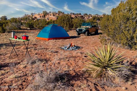 Photo of 9645 Texas Lane, Show Low, AZ 85901 (MLS # 254402)