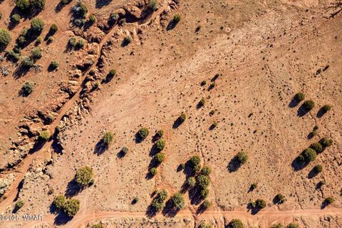 Tiny photo for 9645 Texas Lane, Show Low, AZ 85901 (MLS # 254402)