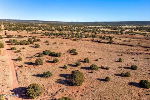 Tiny photo for 9645 Texas Lane, Show Low, AZ 85901 (MLS # 254402)