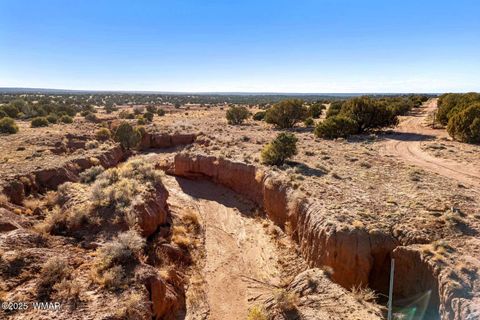 Tiny photo for 9645 Texas Lane, Show Low, AZ 85901 (MLS # 254402)
