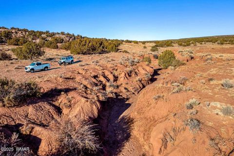 Tiny photo for 9645 Texas Lane, Show Low, AZ 85901 (MLS # 254402)
