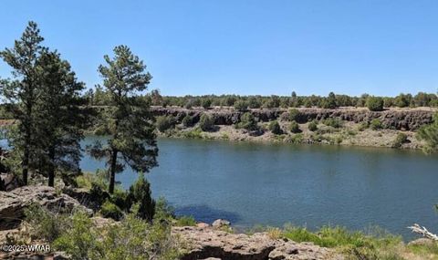 Tiny photo for 630 Vernon County Road, Vernon, AZ 85940 (MLS # 259289)