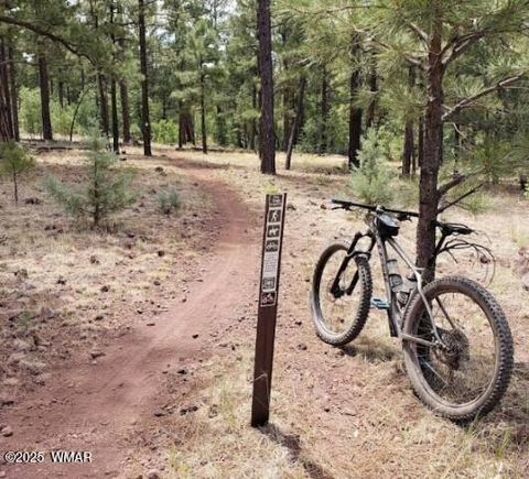 Tiny photo for 630 Vernon County Road, Vernon, AZ 85940 (MLS # 259289)