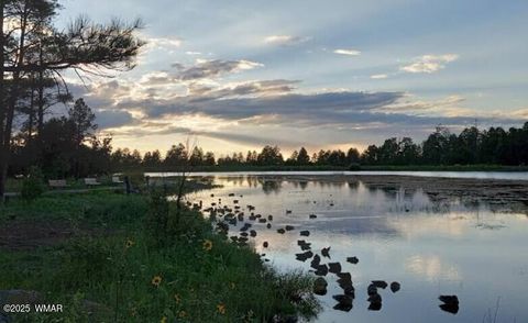 Tiny photo for 630 Vernon County Road, Vernon, AZ 85940 (MLS # 259289)