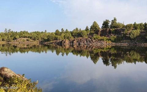 Tiny photo for 630 Vernon County Road, Vernon, AZ 85940 (MLS # 259289)