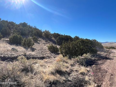 Tiny photo for Lot 14 Starlite Drive, Eagar, AZ 85925 (MLS # 258619)