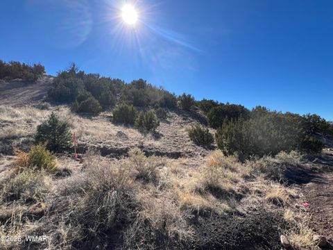 Photo of Lot 14 Starlite Drive, Eagar, AZ 85925 (MLS # 258619)