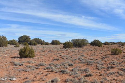 Tiny photo for 3988 Antelope Ridge Road, Snowflake, AZ 85937 (MLS # 259356)