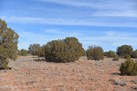 Photo of 3988 Antelope Ridge Road, Snowflake, AZ 85937 (MLS # 259356)