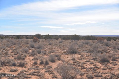 Tiny photo for 3988 Antelope Ridge Road, Snowflake, AZ 85937 (MLS # 259356)