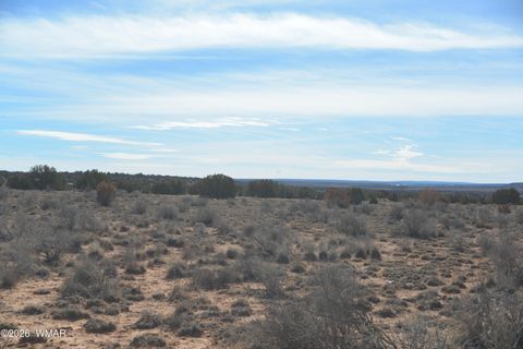 Tiny photo for 3988 Antelope Ridge Road, Snowflake, AZ 85937 (MLS # 259356)