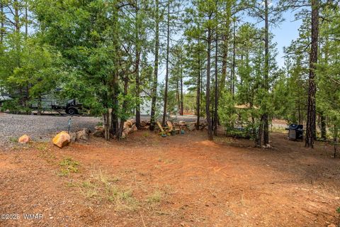 Tiny photo for 3750 S Mule Skinner Loop, Show Low, AZ 85901 (MLS # 257129)