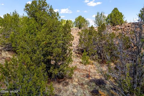 Tiny photo for 8575 Silver Creek Drive, Show Low, AZ 85901 (MLS # 259698)