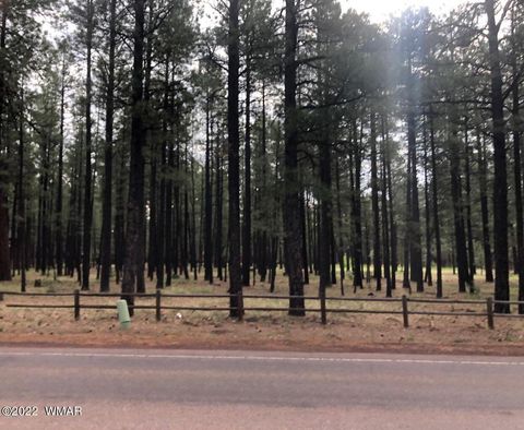 Tiny photo for 4660 Bucksprings Road, Pinetop, AZ 85935 (MLS # 256307)