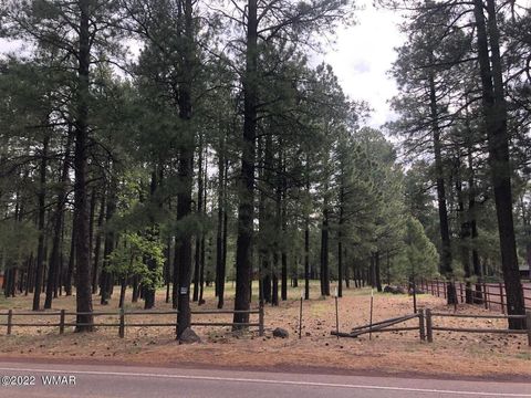Tiny photo for 4660 Bucksprings Road, Pinetop, AZ 85935 (MLS # 256307)