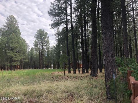 Tiny photo for 4660 Bucksprings Road, Pinetop, AZ 85935 (MLS # 256307)