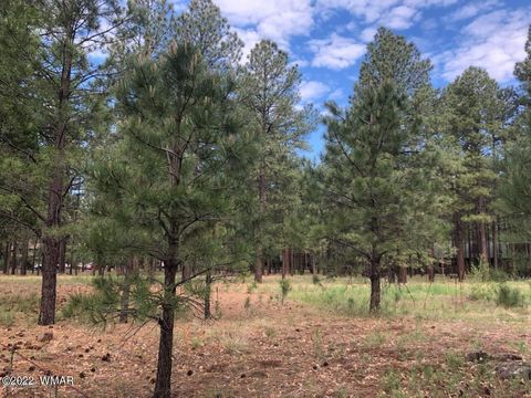 Tiny photo for 4660 Bucksprings Road, Pinetop, AZ 85935 (MLS # 256307)