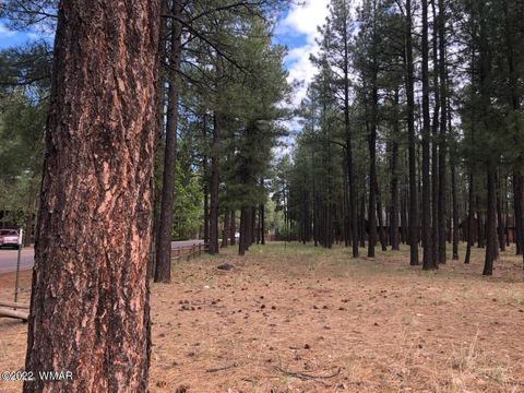 Tiny photo for 4660 Bucksprings Road, Pinetop, AZ 85935 (MLS # 256307)
