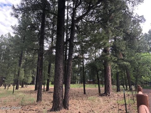 Tiny photo for 4660 Bucksprings Road, Pinetop, AZ 85935 (MLS # 256307)