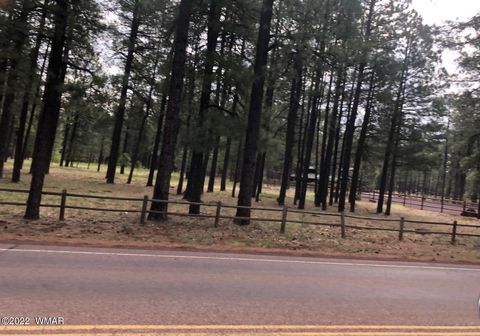 Tiny photo for 4660 Bucksprings Road, Pinetop, AZ 85935 (MLS # 256307)