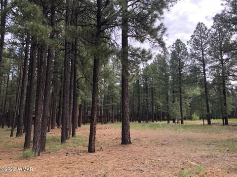 Tiny photo for 4660 Bucksprings Road, Pinetop, AZ 85935 (MLS # 256307)