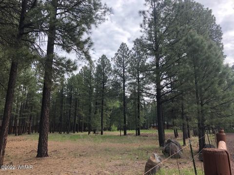 Tiny photo for 4660 Bucksprings Road, Pinetop, AZ 85935 (MLS # 256307)