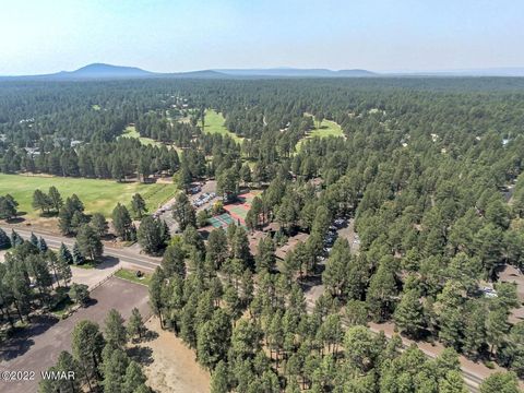 Tiny photo for 4660 Bucksprings Road, Pinetop, AZ 85935 (MLS # 256307)