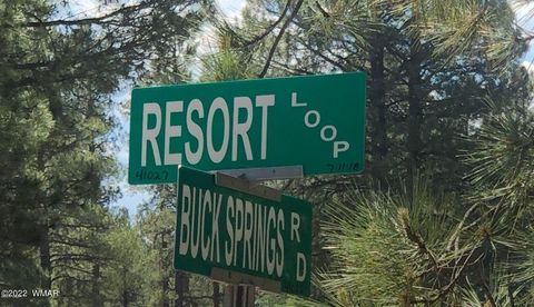 Tiny photo for 4660 Bucksprings Road, Pinetop, AZ 85935 (MLS # 256307)