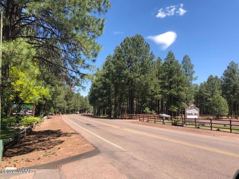 Tiny photo for 4660 Bucksprings Road, Pinetop, AZ 85935 (MLS # 256307)