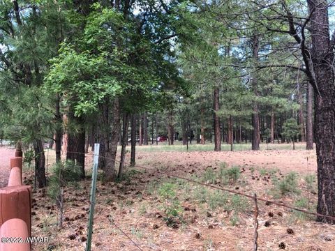 Tiny photo for 4660 Bucksprings Road, Pinetop, AZ 85935 (MLS # 256307)