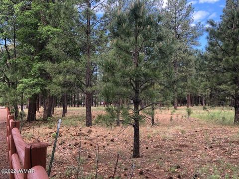 Tiny photo for 4660 Bucksprings Road, Pinetop, AZ 85935 (MLS # 256307)