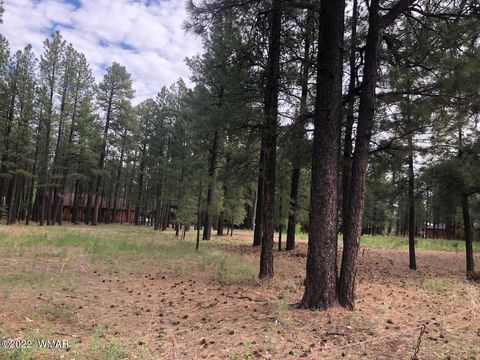 Tiny photo for 4660 Bucksprings Road, Pinetop, AZ 85935 (MLS # 256307)