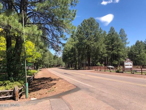Tiny photo for 4660 Bucksprings Road, Pinetop, AZ 85935 (MLS # 256307)
