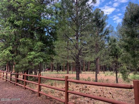 Tiny photo for 4660 Bucksprings Road, Pinetop, AZ 85935 (MLS # 256307)