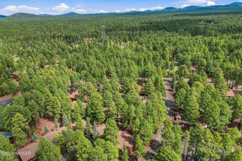 Tiny photo for 2594 Mustang Circle #10A, Pinetop, AZ 85935 (MLS # 263266)