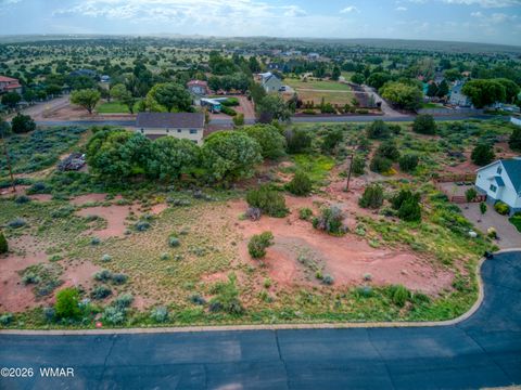 Tiny photo for 296 S Pioneer Trail, Snowflake, AZ 85937 (MLS # 259215)