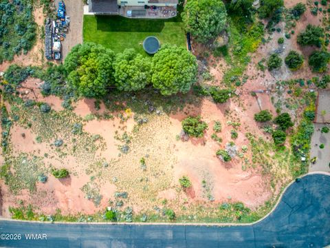 Tiny photo for 296 S Pioneer Trail, Snowflake, AZ 85937 (MLS # 259215)