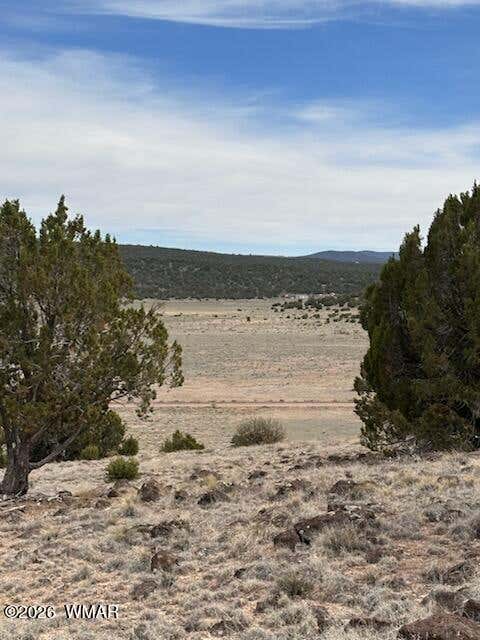 Photo of 38 CR 8250, Concho, AZ 85924 (MLS # 261643)